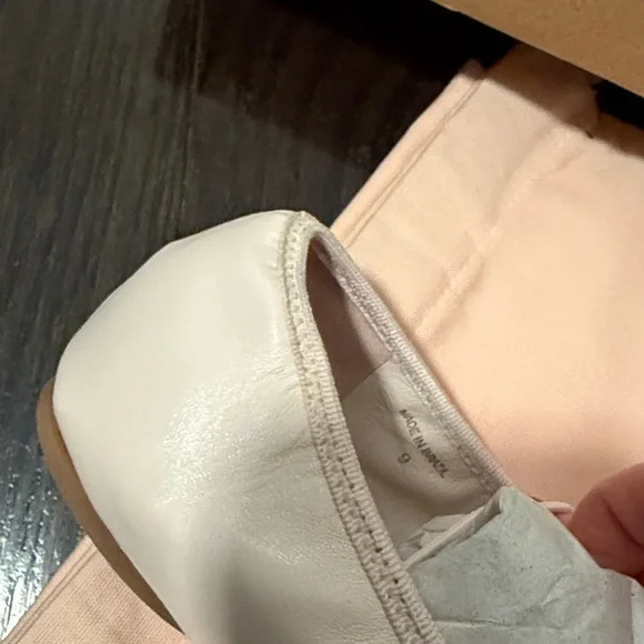 Reformation x NYC Ballet Barbara Ballet Flat Morning Dew Size 9